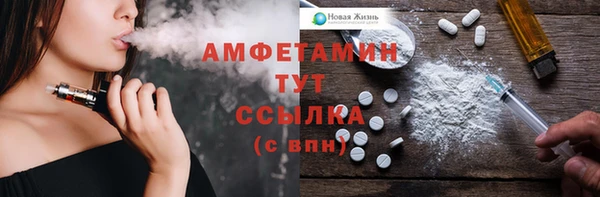 ПСИЛОЦИБИНОВЫЕ ГРИБЫ Верея