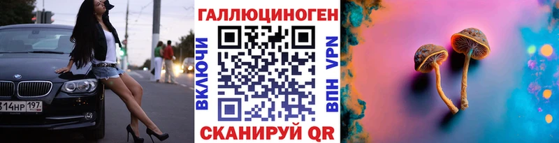 Галлюциногенные грибы Psilocybine cubensis  Купить где  Алагир 