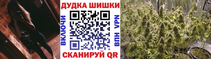 Бошки марихуана гибрид Алагир